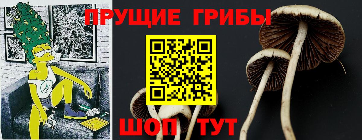 Галлюциногенные грибы Psilocybine cubensis  Вход с VPN  Уссурийск 